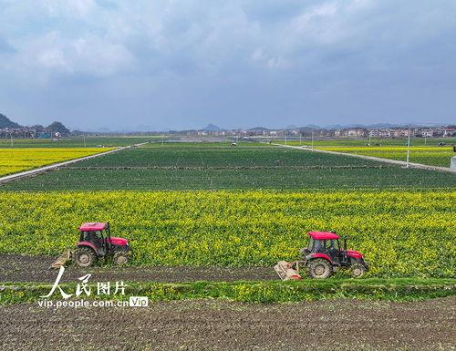 1024国产区  第2张