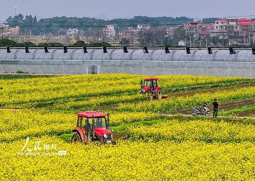 1024国产区  第3张